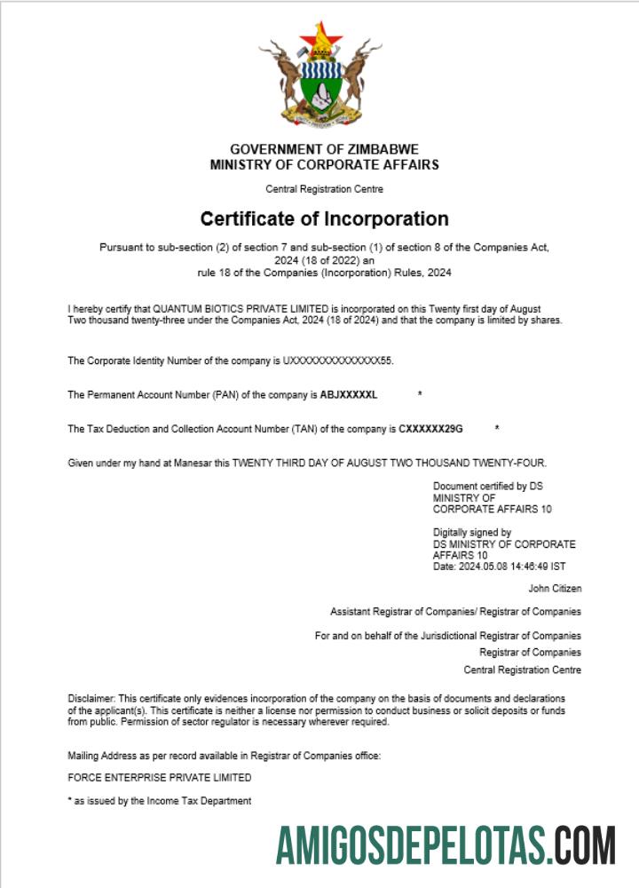 Modelo realista de certificado de registro comercial do Zimbábue em Word e PDF